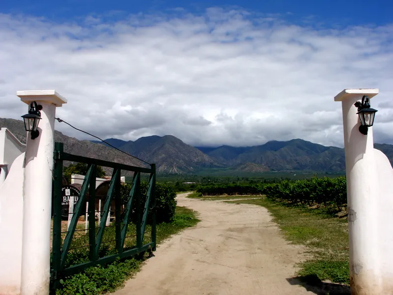 A winery near Cafayate, Salta Province (Argentina).