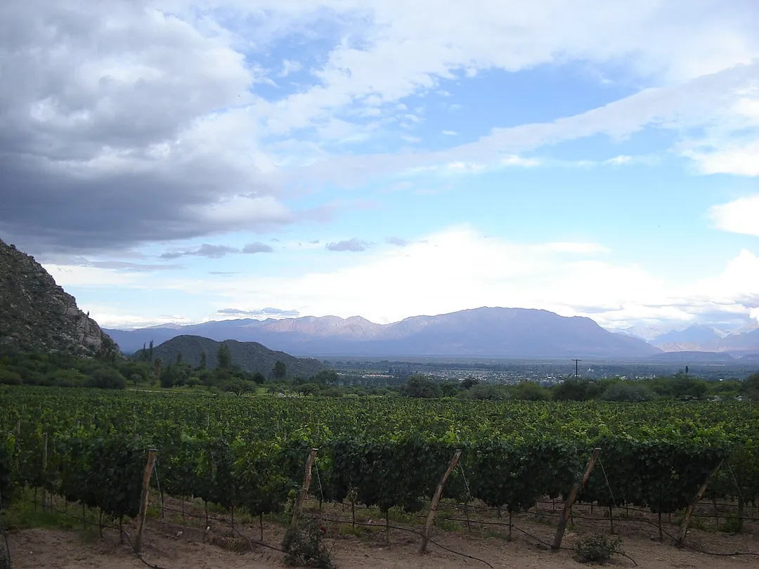 A winery near Cafayate, Salta Province (Argentina).