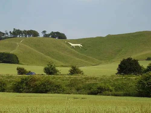 The en:Cherhill White Horse, Cherhill, Wiltshire, England