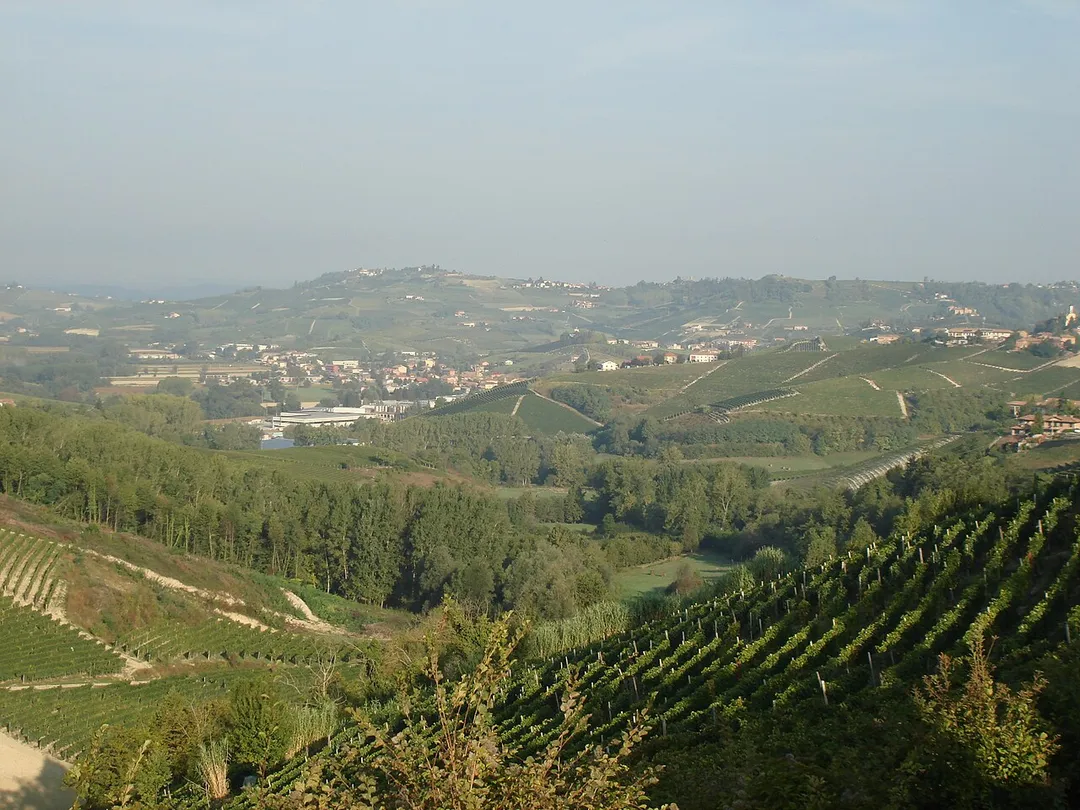 Calosso