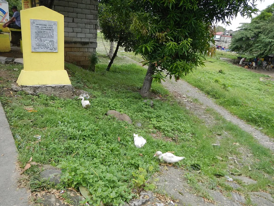 Along MacArthur Highway to interior Calumpit-Hagonoy-Malolos Provinical Road is Barangay Iba Este, Calumpit, Bulacan - Holcim cement factory, irrigation dike and creek Purok 1, entry towards the Barangay Hall and Chapel.