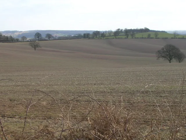 Farmland near Calverton