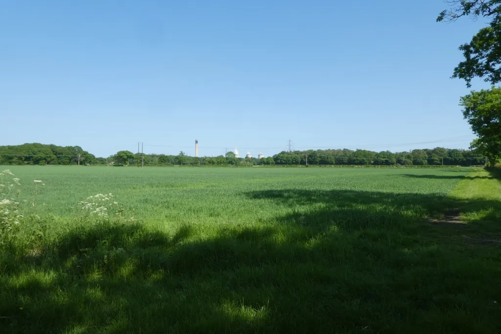Camblesforth Common