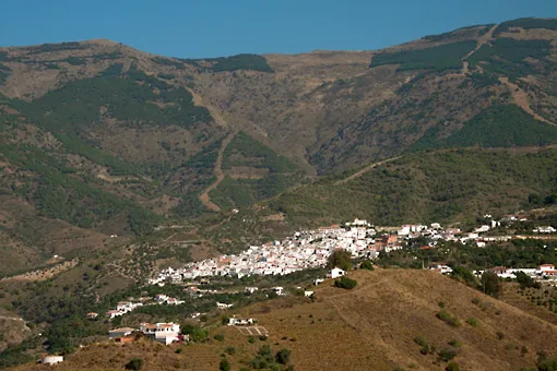 Canillas de Albaida