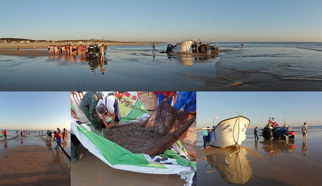 Seine fishing using two tractors and one fishing vessel.
Praia da Saúde (in English, Beach of Health) is a beach at Costa da Caparica with typical small fishing houses, next to Almada at 15 kilometers of the Lisbon city in Portugal (sunset 21:18).