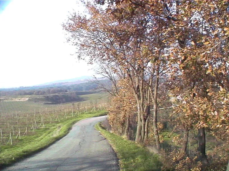 La campagna sulle colline di Capraia