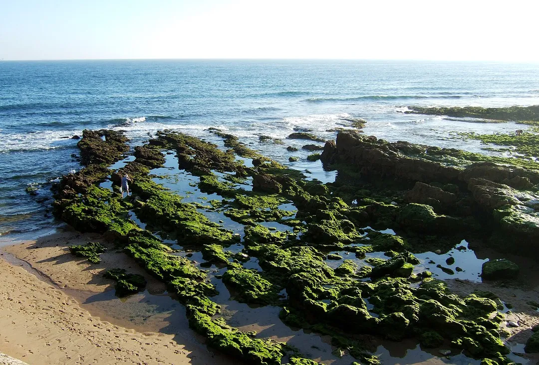 Rochas da Praia de Carcavelos
