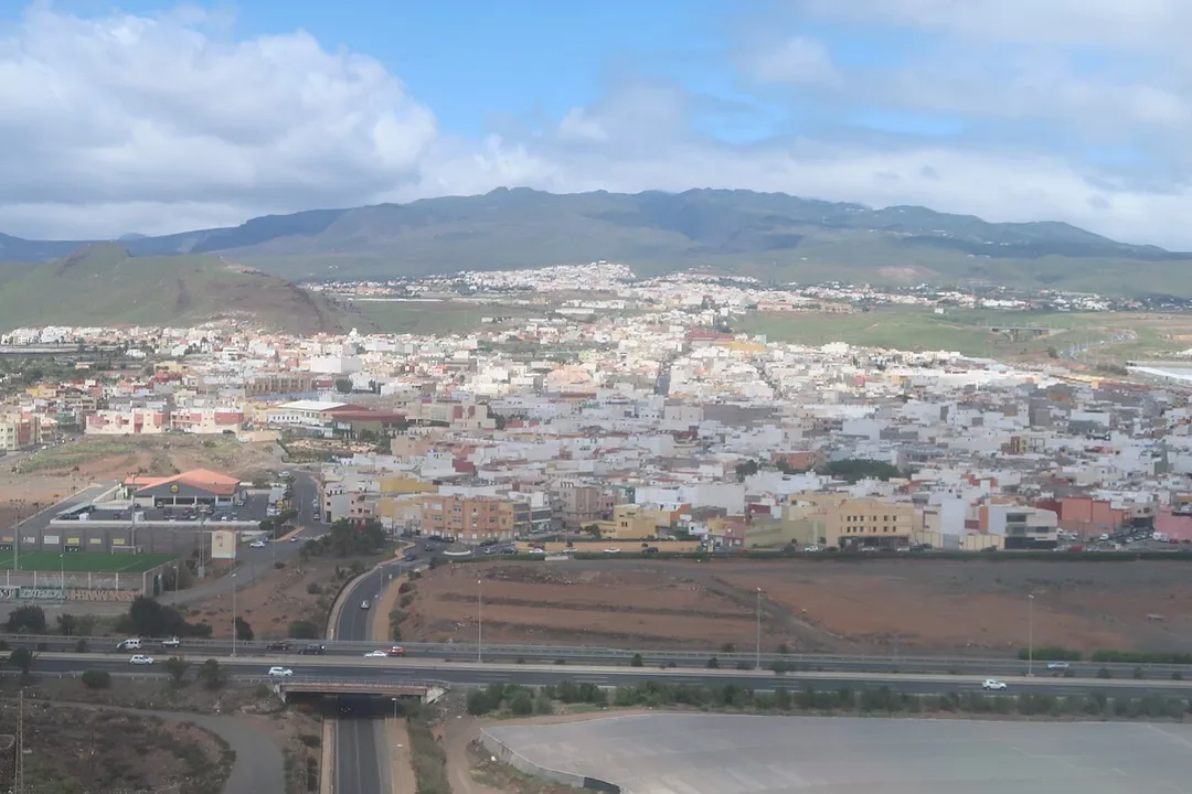 Carrizal en primer plano e Ingenio al fondo