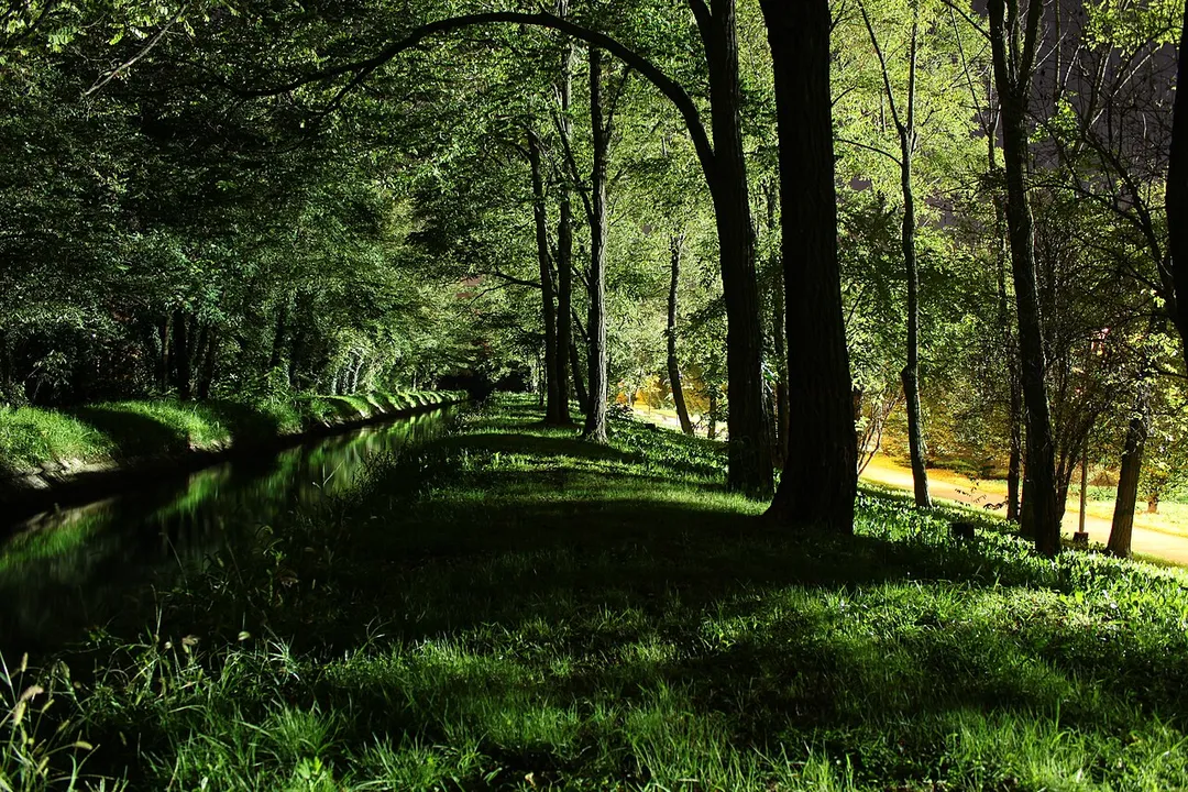 masate bosco villoresi