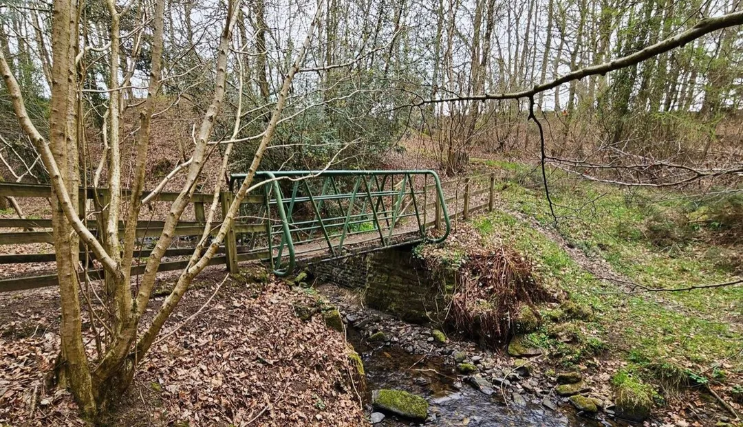Bridge over Wharnley / Watergate Burn, Castleside Woods.