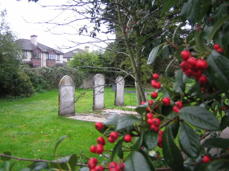 The Jewish graveyard in Castletroy, Limerick