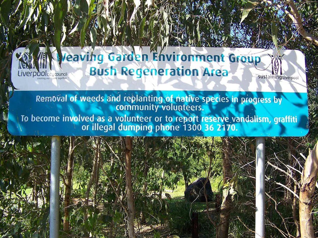 Bush Regeneration