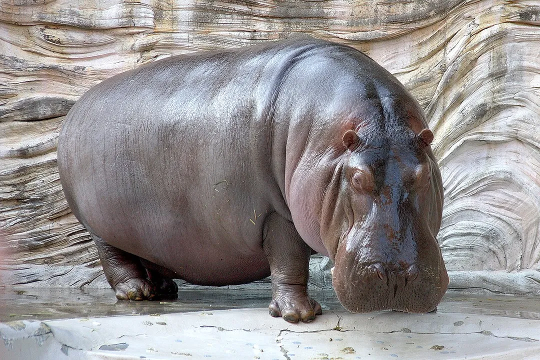 Photo of Chalinze