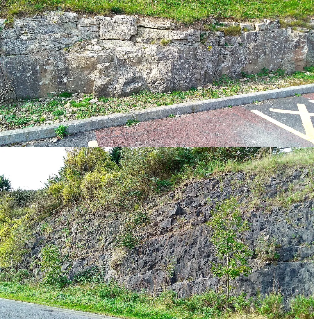 Hunts Bay and Black Rock limestone exposed by the link road between Bulwark and the M48, in Chepstow.
