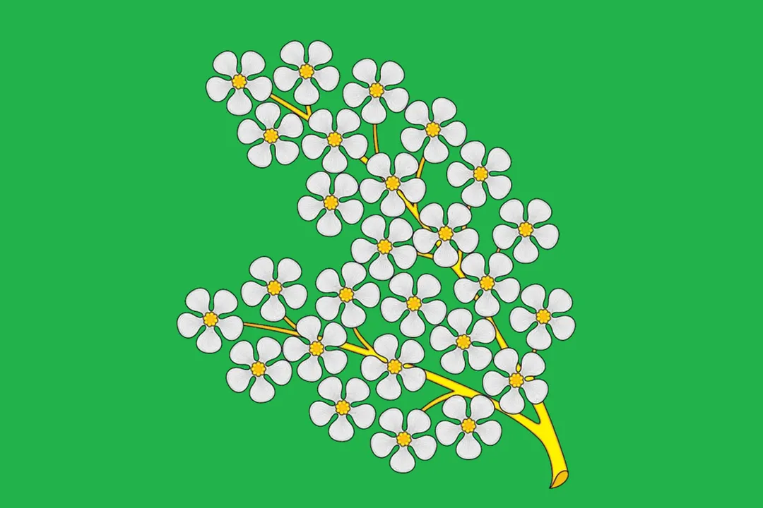 Flag of Cheryomushki District, Moscow, Russia