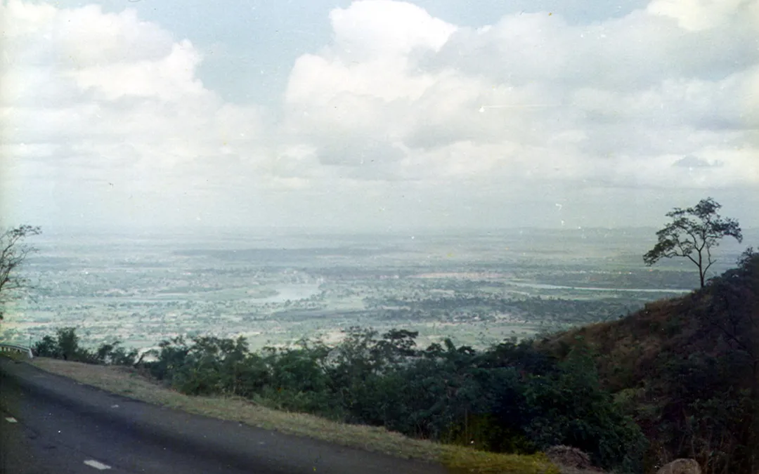 Elefantenmarsch bei Chikwawa