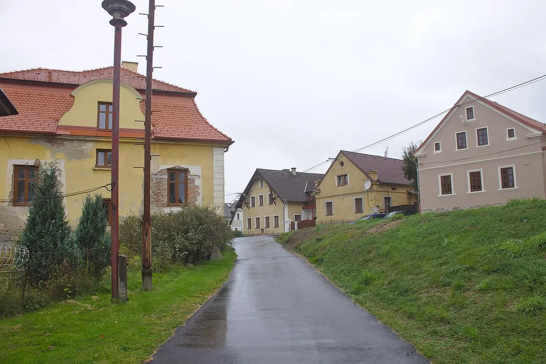 Domy ve vesnici Zadní Chodov, Plzeňský kraj