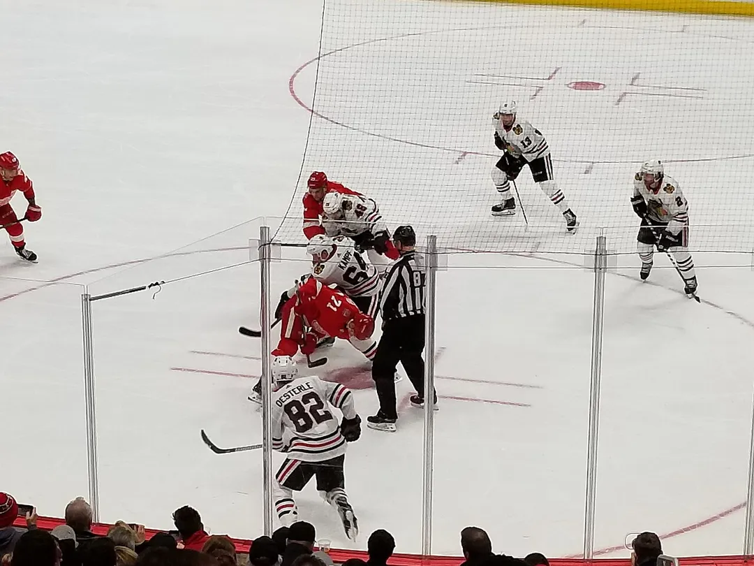Blackhawks-Redwing