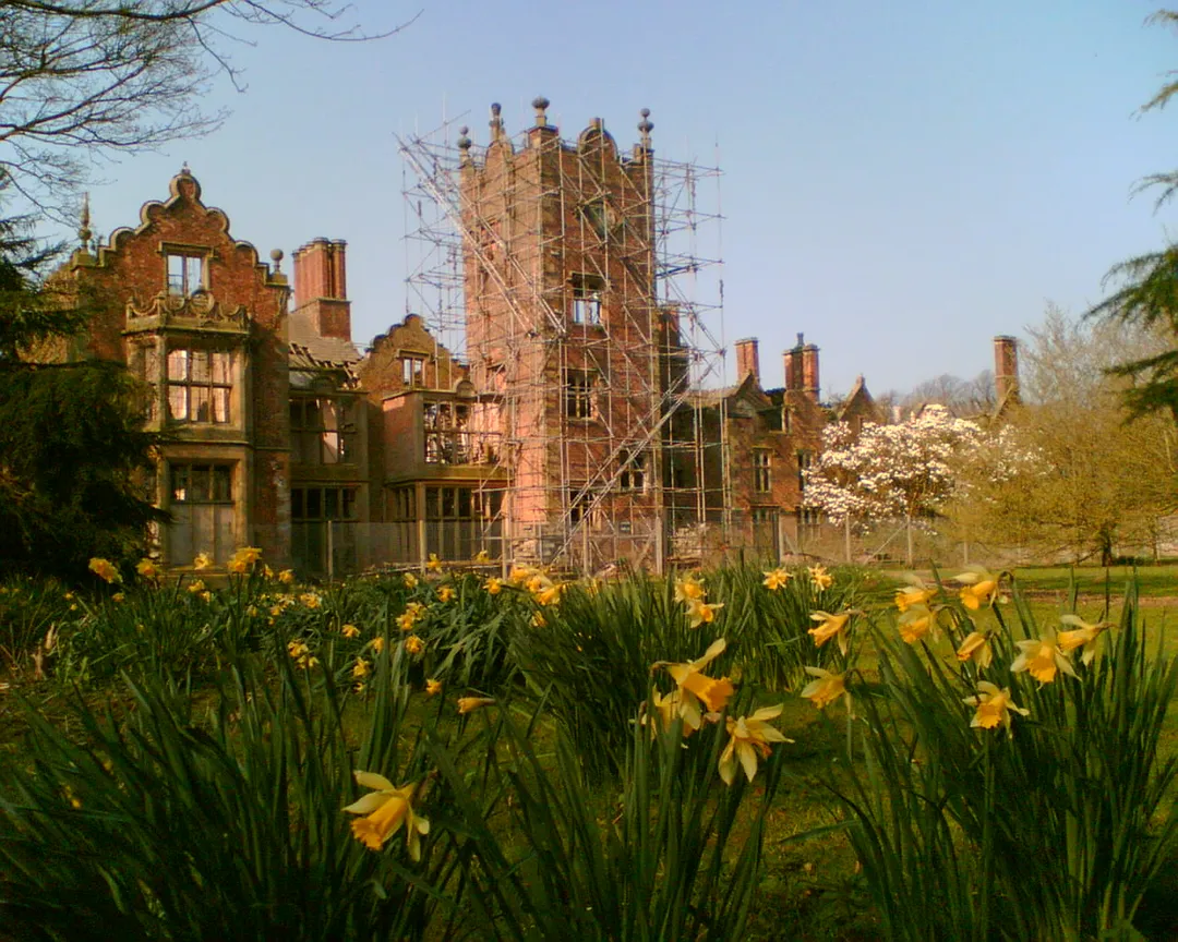 Some of the Daffodils that grow at Bank Hall