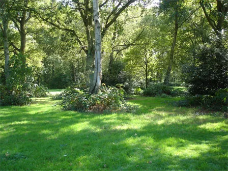 A typical scene on Chorleywood Common