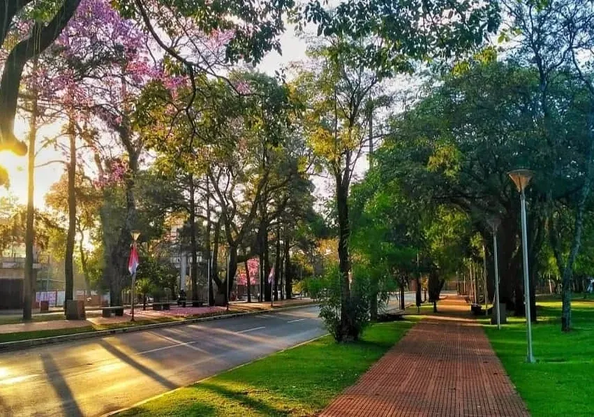 Bernardino Caballero Avenue in Ciudad del Este, Paraguay