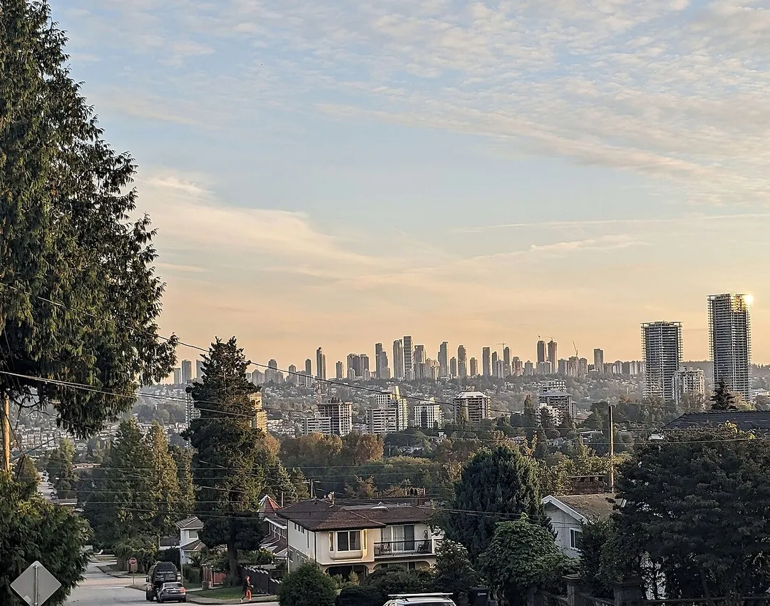 Metrotown Burnaby sunset in the distance, with foliage and midrises in the foreground.