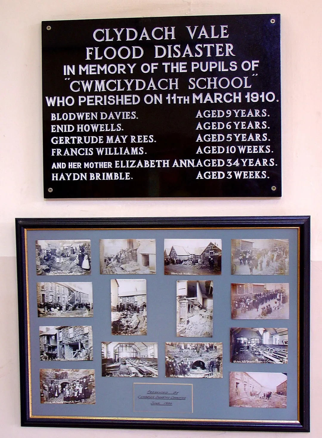 In the entrance hall of Clydach Vale Primary School, this plaque and photo montage commemorates those who died in the disastrous flood of 1910. The list is headed by three schoolchildren who could not be saved, followed by the names of a woman and two babies who died closer to the flood's origin.