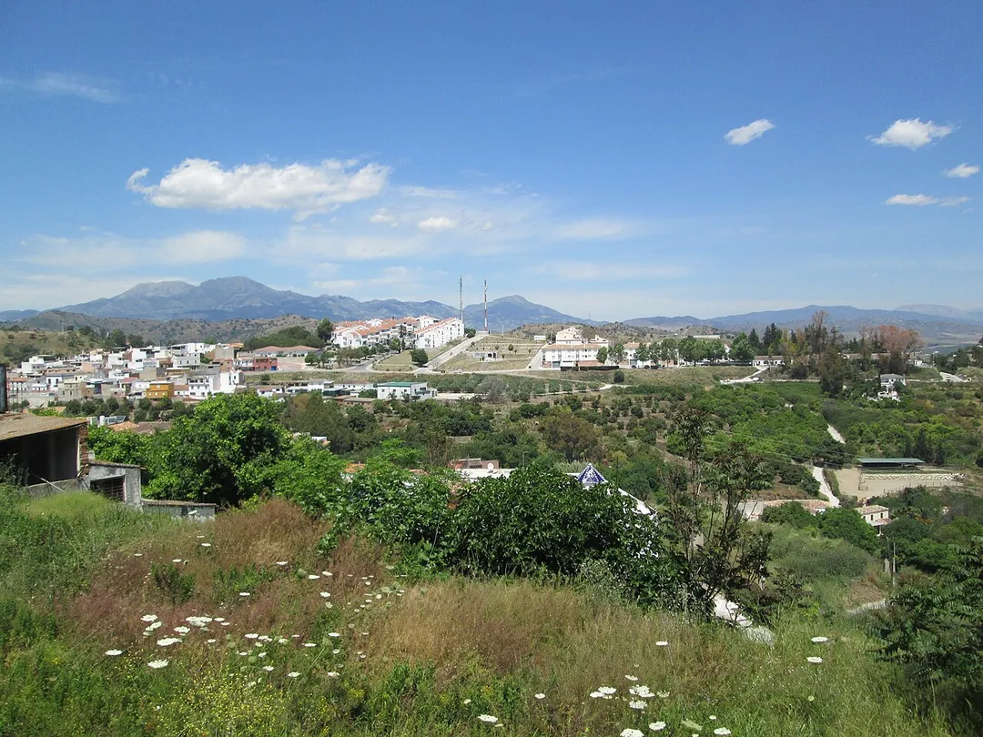 Coín sp