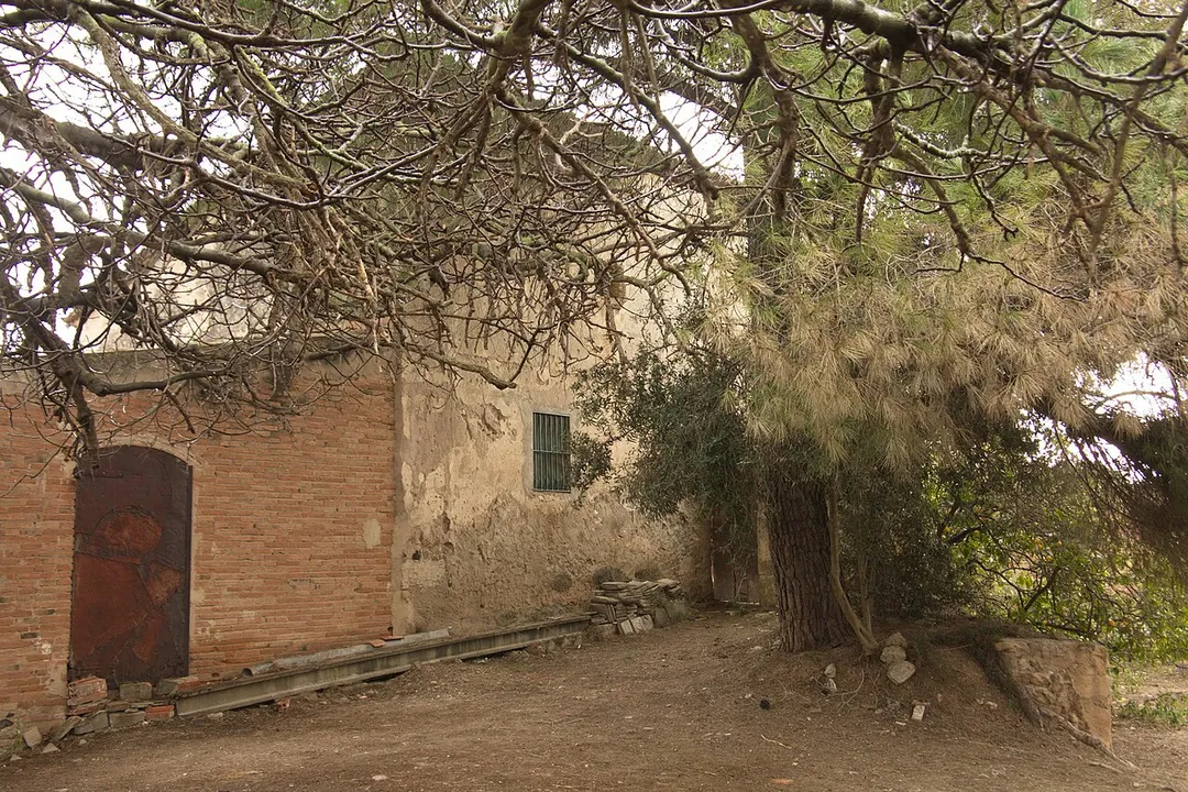 Molí de Constantí (Constantí)
