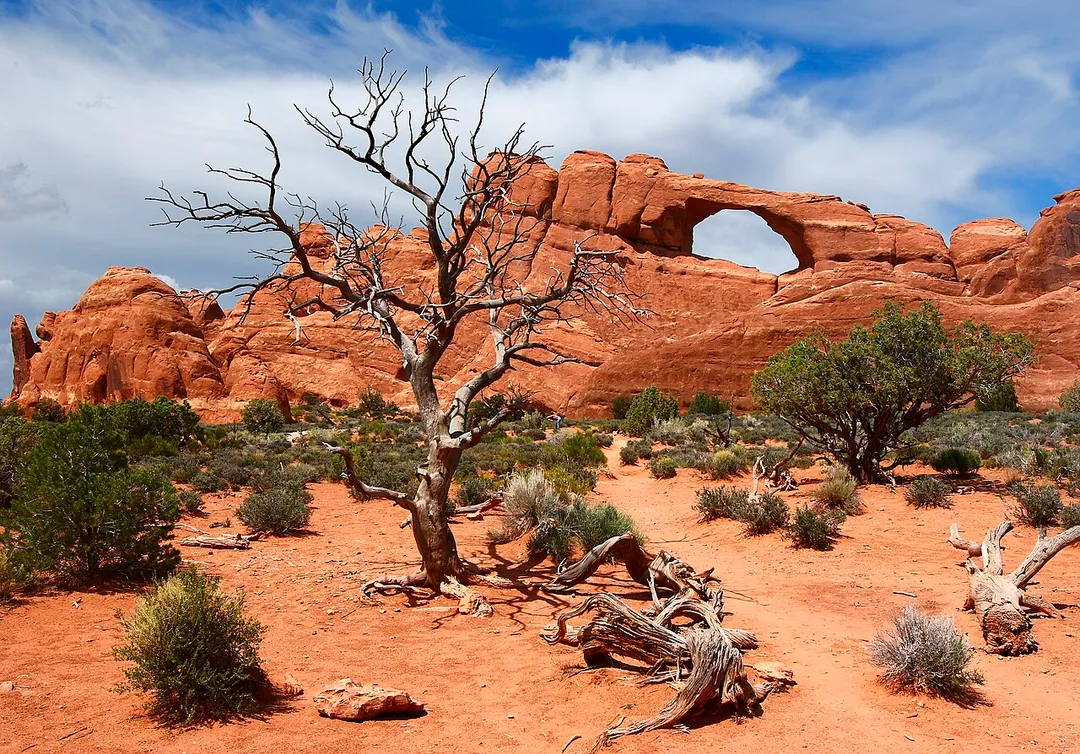 The Skyline Arch at Arches National Park, Utah, USA.