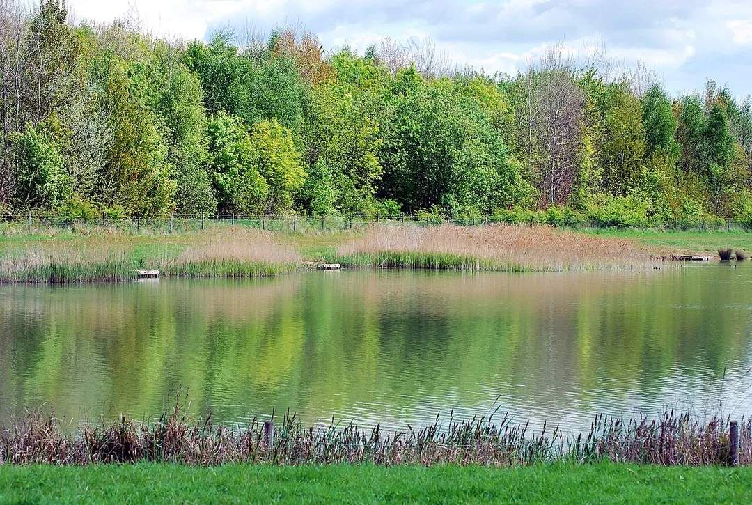 Cotgrave Country Park Lake