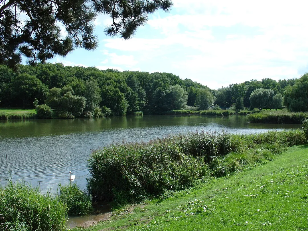 Le lac de Creutzwald.
