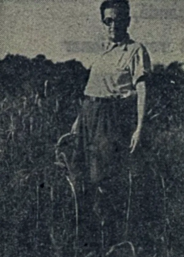Romanian poet-journalist N. Crevedia at an unspecified location in the Romanian countryside, during harvest 1955.