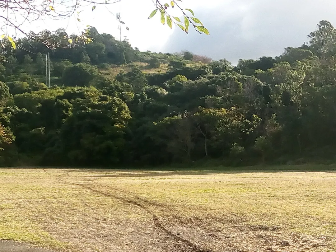 -Cringila Community Park a