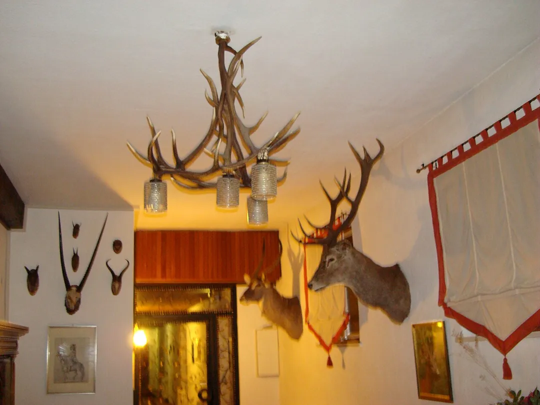 Antler chandelier at the Dachswald (Badger Forest) hotel in Stuttgart, Germany