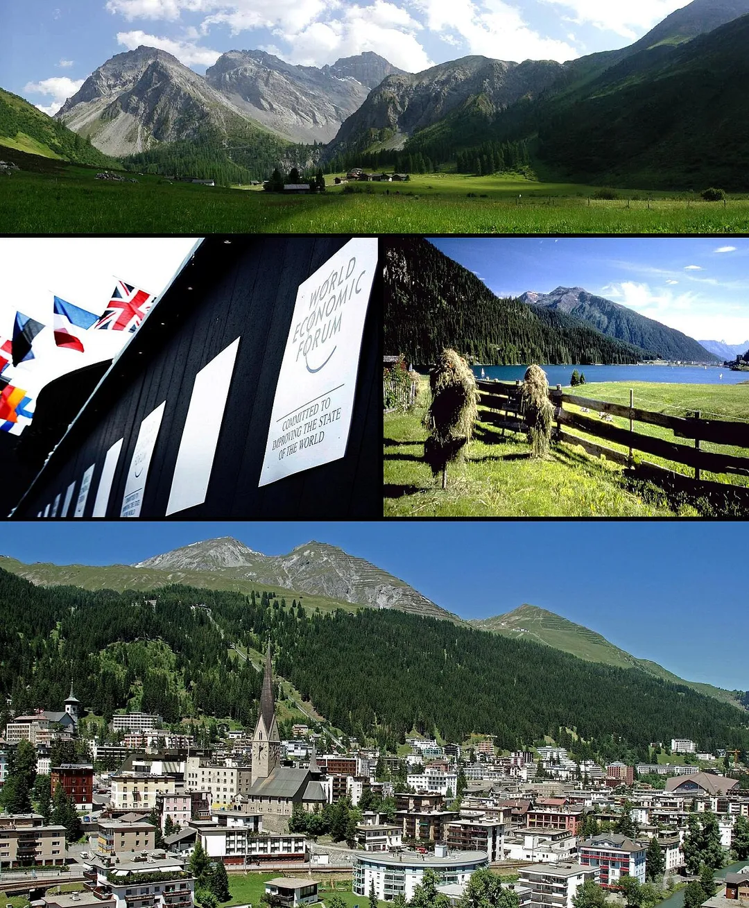 Montage for the Davos article on Wikipedia.