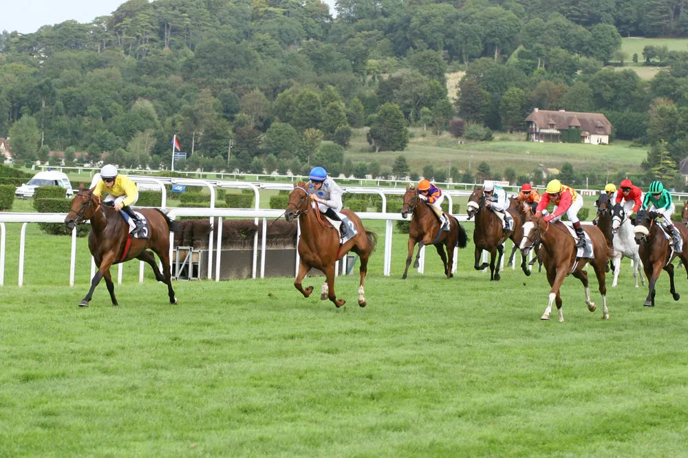 Flat race on Deauville-Clairefontaine racecourse