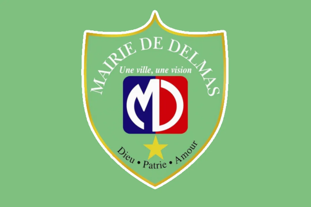 Flag of Delmas, Haiti