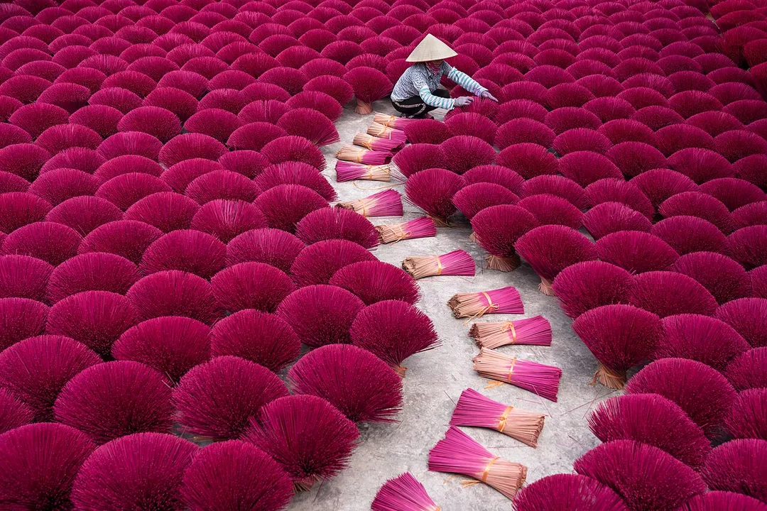 Incense plays an important role in Vietnamese life. It is considered as a sacred bridge to connect the visible life of human beings and the world of heaven, earth, and gods. Photo taken in Quang Phu Cau village, on the outskirts of Hanoi, Vietnam. In this picture, incense sticks are being set out to dry, after being dipped in the incense solution.