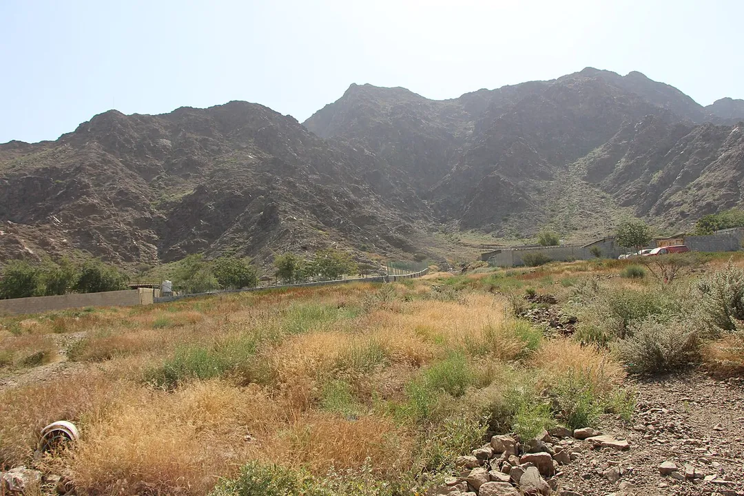 Dibba Al Fujairah rocky mountains and green hills