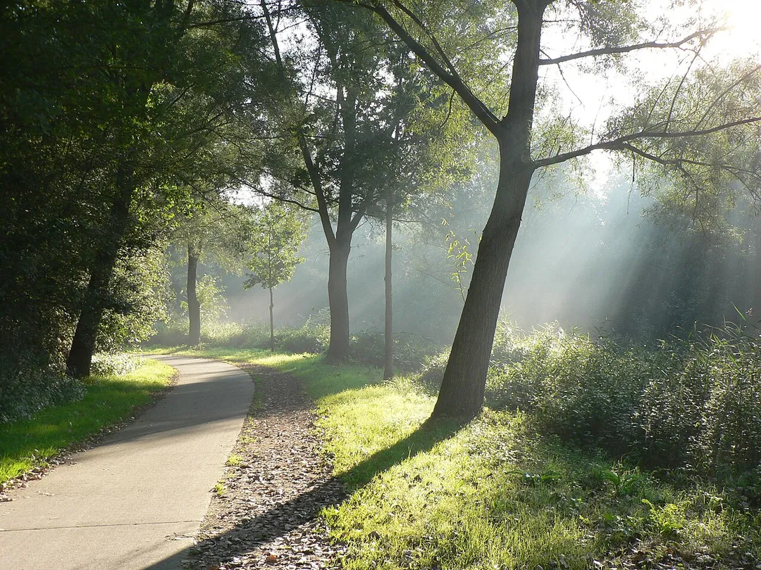 cycle track to Diepenbeek campus (Belgium).