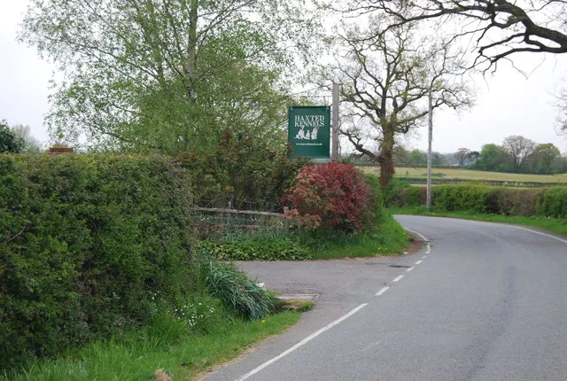 Haxted Kennels