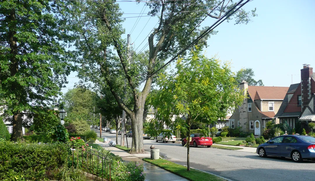 A street in Little Neck, New York