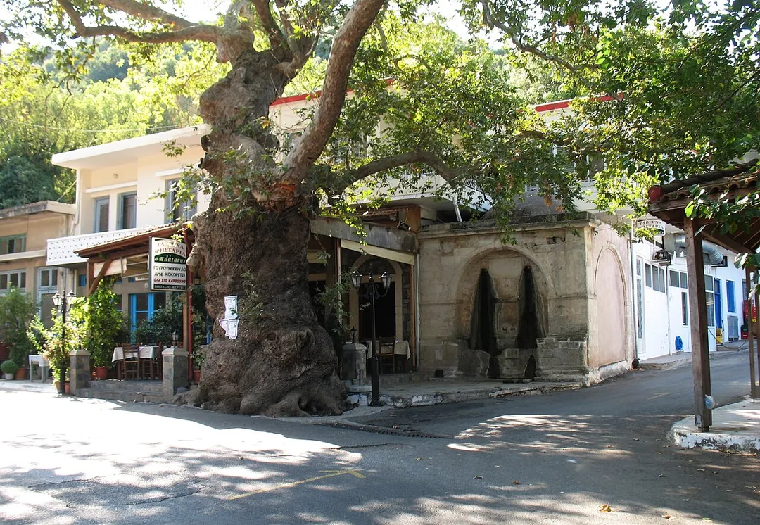 Mainstraat, Drosia