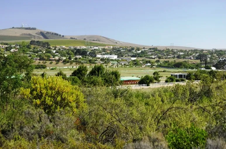 Durbanville Nature Reserve. A tiny reserve next to the racecourse. Cape Town.
