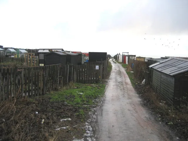 Allotments, Easington Colliery I have never seen a community with so many allotments per head of population. These are opposite the cemetery, and seem to contain small livestock enclosures as well as plots for growing vegetables.
