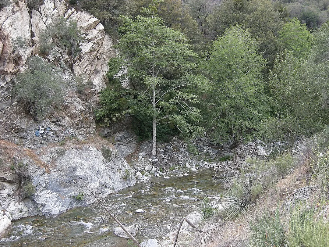San Garbriel River, East Fork - in the San Gabriel Mountains, Southern California]]