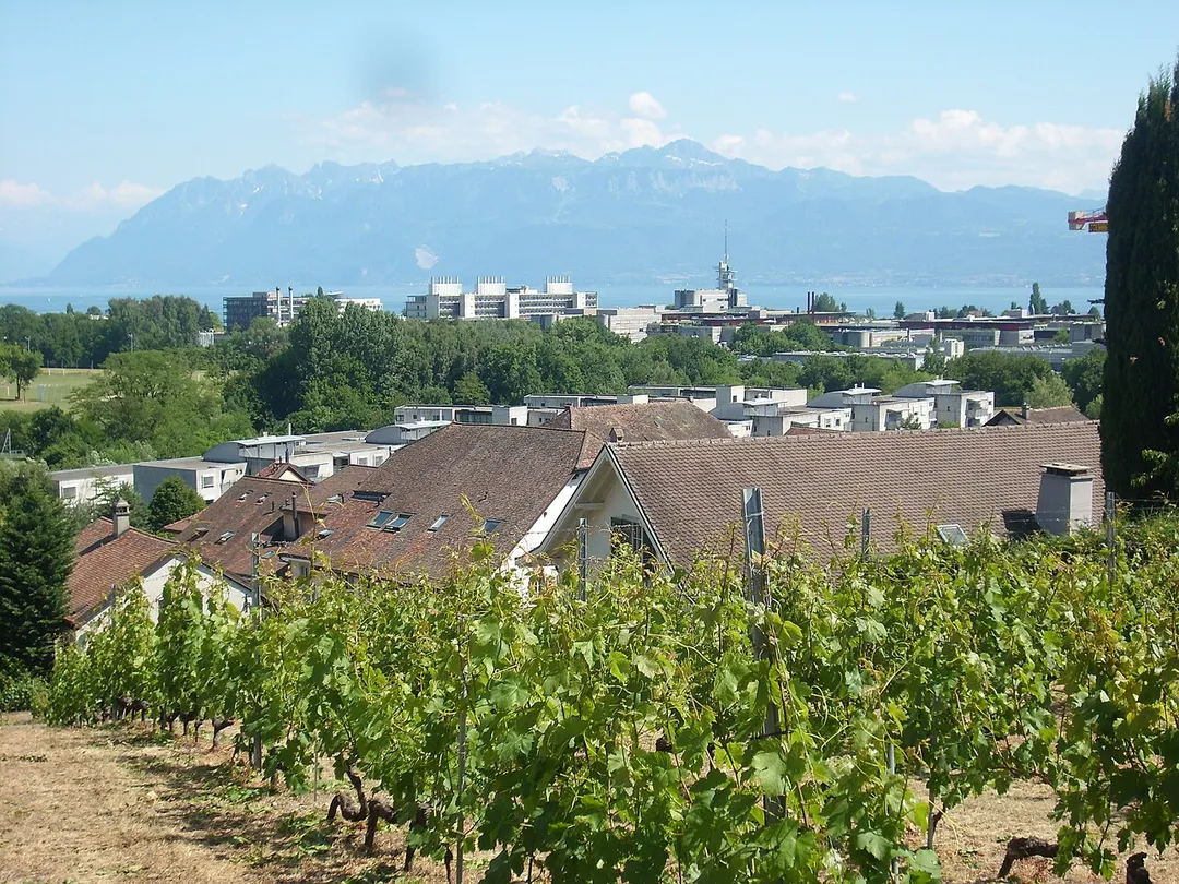 Taken at Latitude/Longitude:46.527122/6.563382. 0.22 km South Ecublens Vaud Switzerland