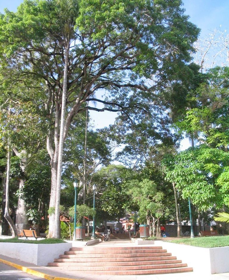 Stairs in Bolívar Square, at w:El Hatillo Municipality. Photographed by w:User:Enano275, released to the public domain.

Stairs in Bolívar Square, at w:El Hatillo Municipality. Photographed by w:User:Enano275, released to the public domain.