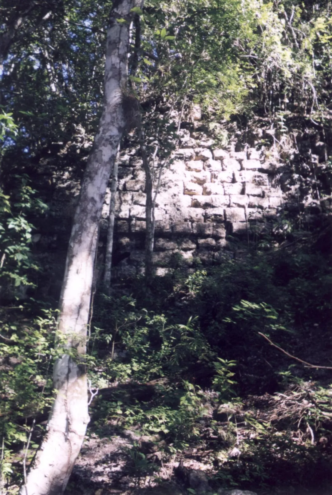 Stonework at the Maya site of El Mirador, Petén, Guatemala. Photo taken in December 2000.